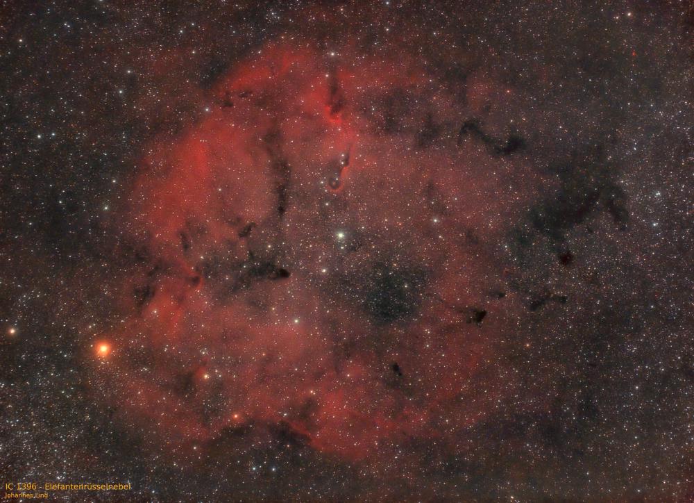 Nr. 8: IC 1396 Elefantenrüsselnebel