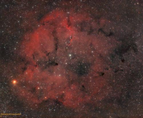 Nr. 8: IC 1396 Elefantenrüsselnebel